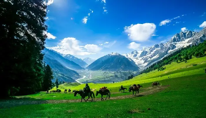 kashmir-tour-package-Yoshi-Travels